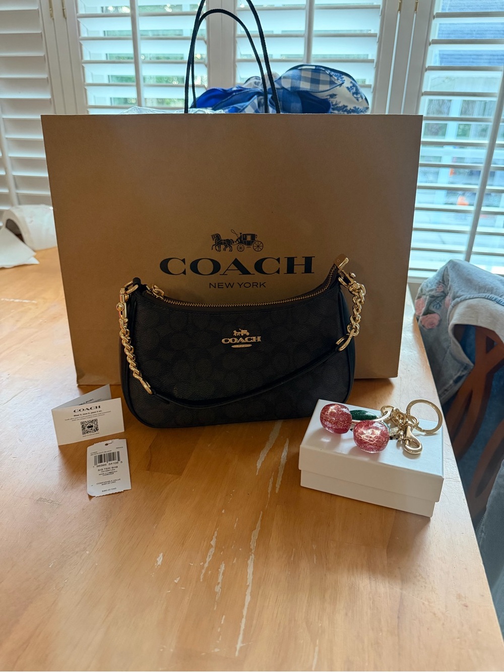 Coach Teri Shoulder Bag Black Signature Canvas with Signature Pink Cherry Charm
